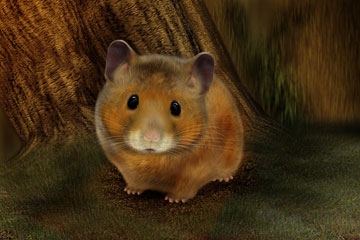 Goldhamster verloren