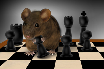 Maus spielt Schach